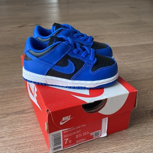 NIB Nike Dunk‎ Low Hyper Cobalt